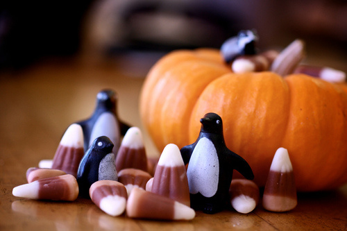 Illustration zum Artikel Wallpaper Roundup: Turkey Time und Pumpkin Pie